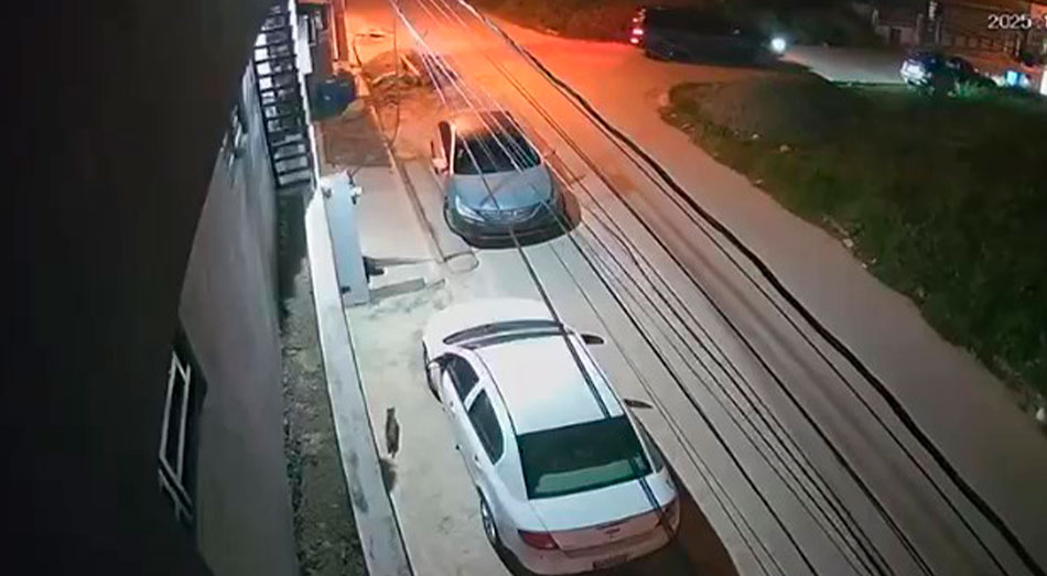 Caso de Julián Alberto de la Cruz Bonilla, abogado