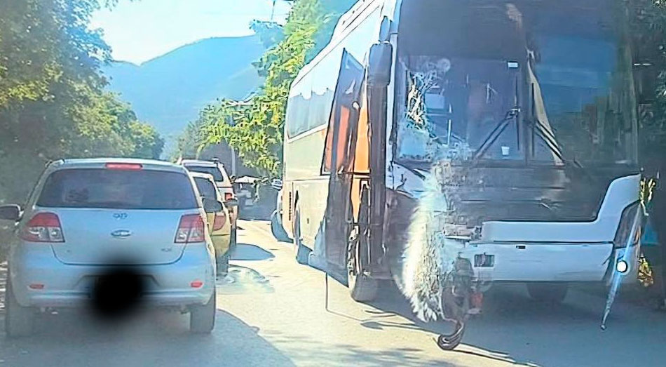 En el tramo que une Azua con Baní