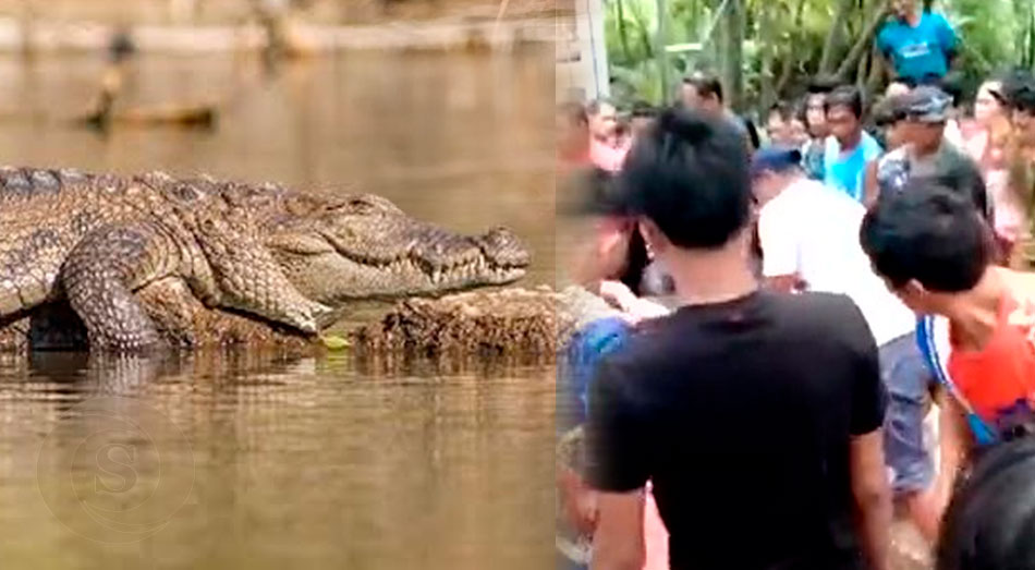 En un zoológico