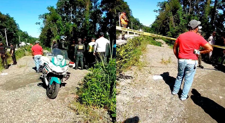 En una zona boscosa de Loma Miranda