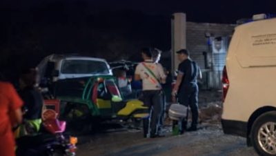 Entre unos matorrales.