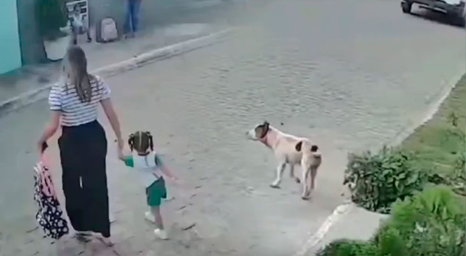 Esperaban el transporte escolar