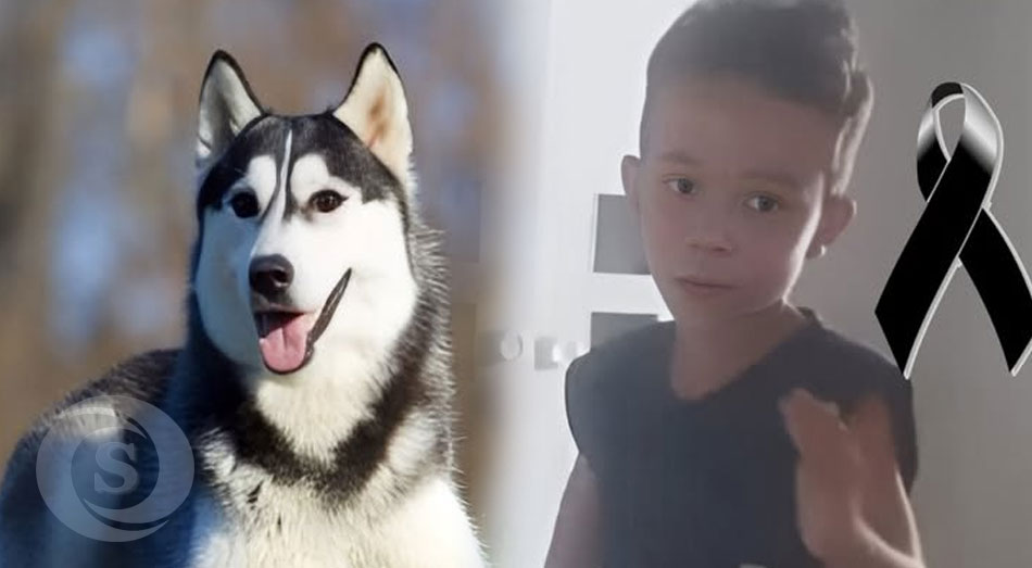 Identificado como Bernardo
