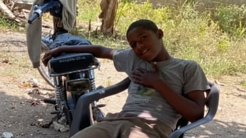 José Miguel Brito, de 15